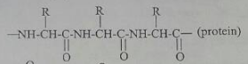 Polymers questions form six chemistry