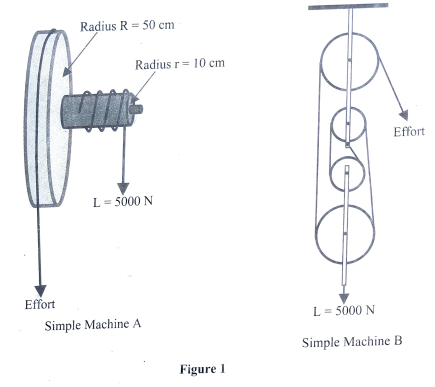 Simple Machine Questions Form two Physics