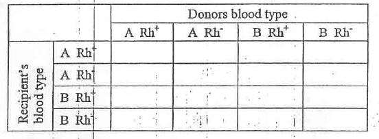 Genetics Biology form four