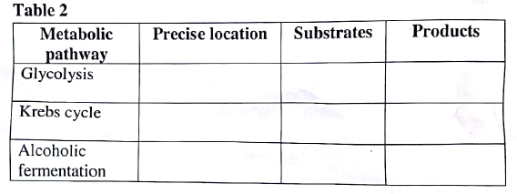 Gaseous exchange and respiration form five biology