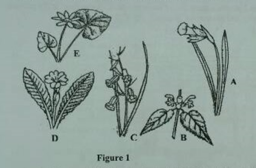 Classification form five advanced  biology questions