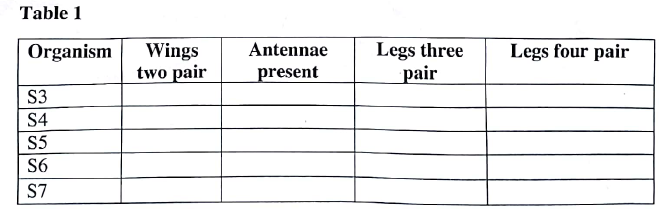 Comparative Studies form five biology