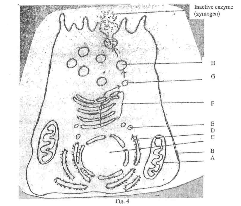 Cytology questions form five biology