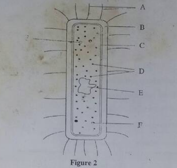 Cytology questions form five biology