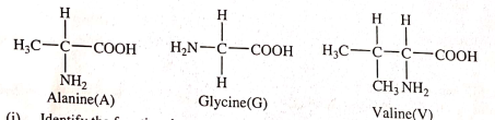 polymers questions form six chemistry