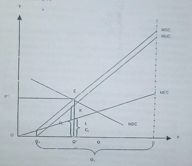 Environmental economics