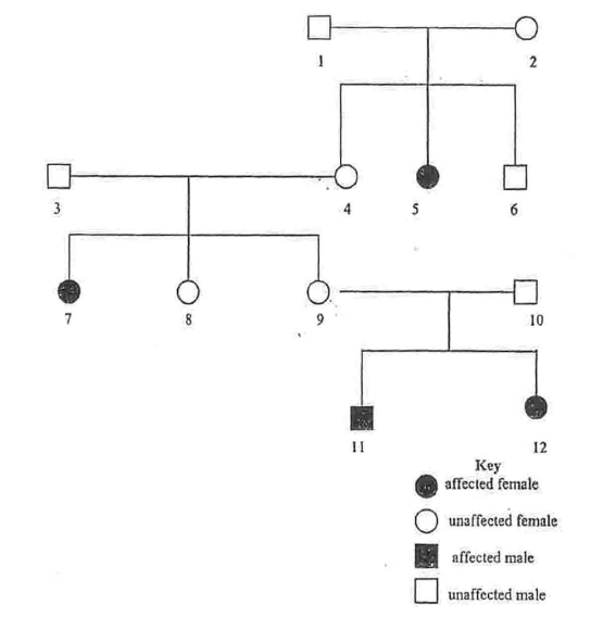 Genetics pedegree form five