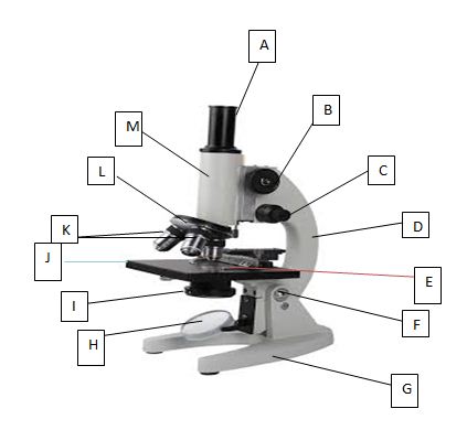 A compound microscope