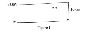 Parallel conducting plates in a vacuum.