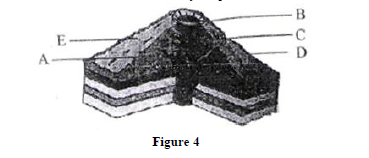 Physics geophysics form four