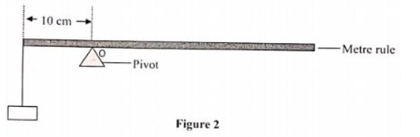 forces in equilibrium