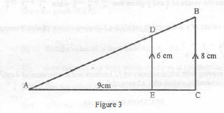 Similarity basic mathematics