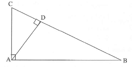 Similarity basic mathematics