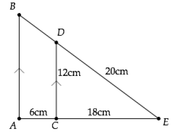 Similarity Basic mathematics